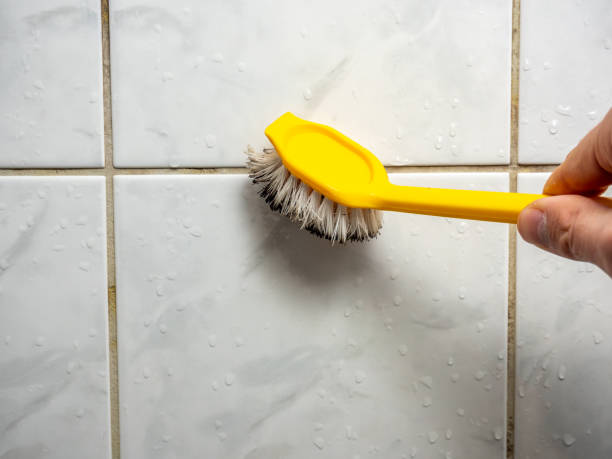 Best Toxic Mold Removal  in Cheval, FL