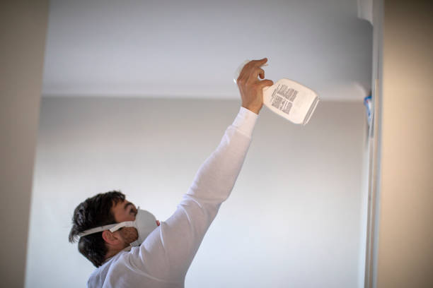 Crawl Space Mold Removal in Cheval, FL