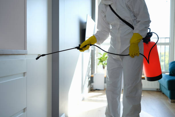 Best Commercial Mold Removal  in Cheval, FL